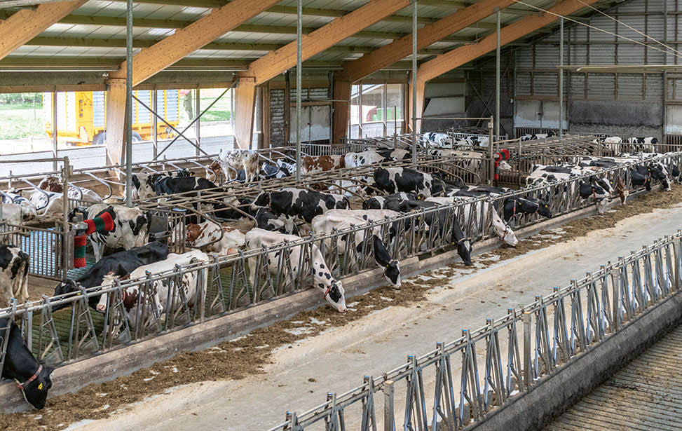 Maatlat Duurzame Veehouderij In 2023 U Gaat Bouwen NL